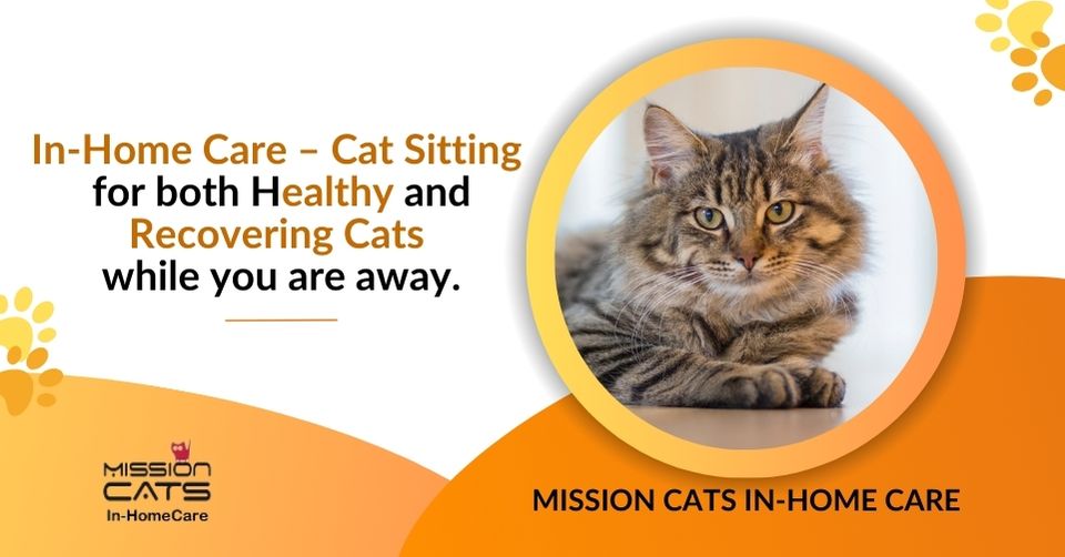 mission cats in homecare mcihf